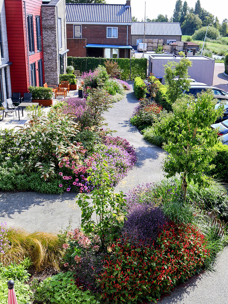 Tuin in bloei